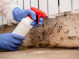 Best Environmental Consulting for Mold Prevention in Cleveland, OK